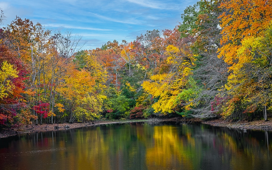 Visit These 5 Places on Your New Jersey Fall Foliage Road Trip