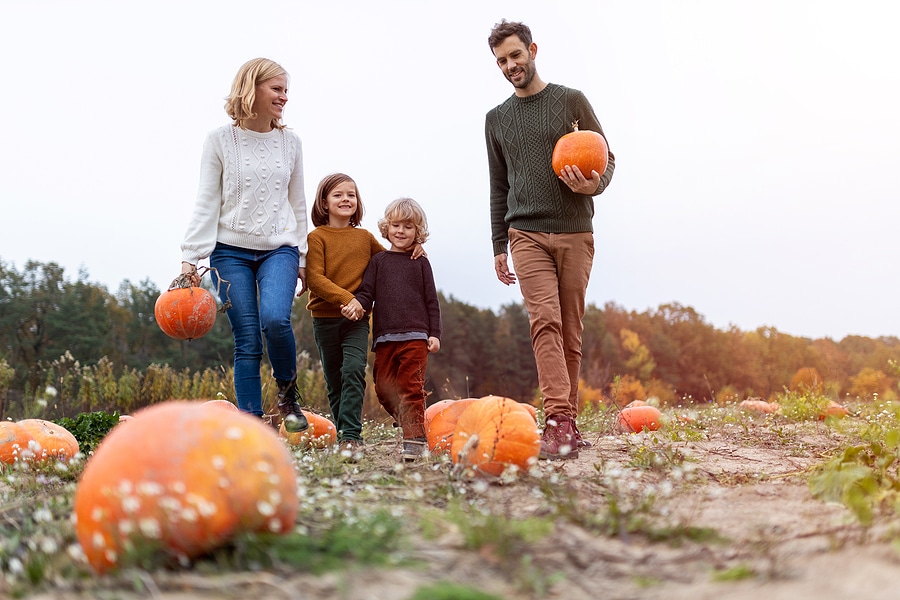 Visit New Jersey’s Best Pumpkin Patches with an SUV Rental